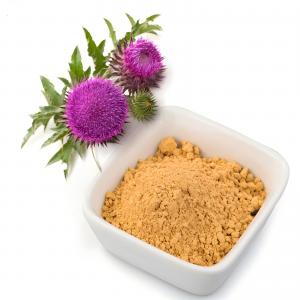 Silymarin Milk Thistle Extract